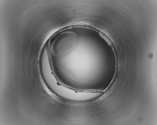 X0000091591038200709101036