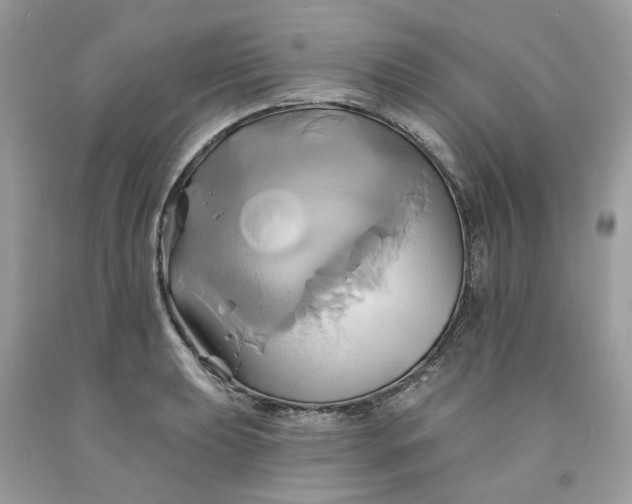 X0000091591039200709101036