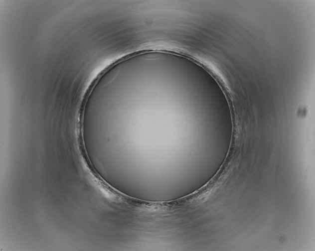 X0000091591040200709101036