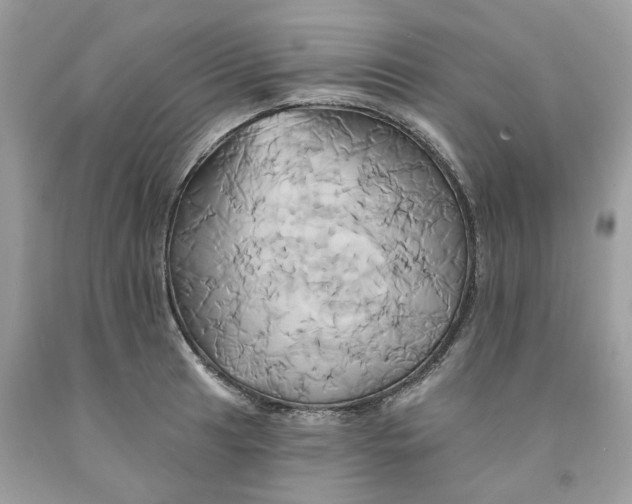 X0000091591041200709101036