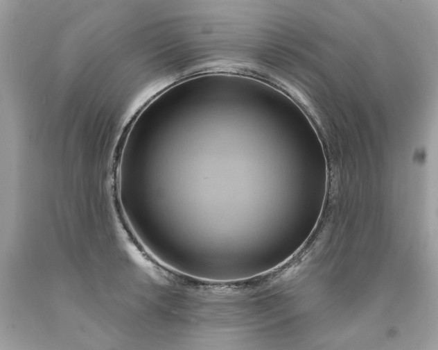 X0000091591042200709101036