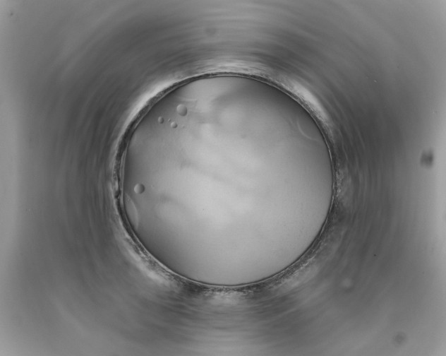 X0000091591043200709101036