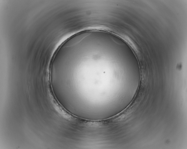 X0000091591044200709101036