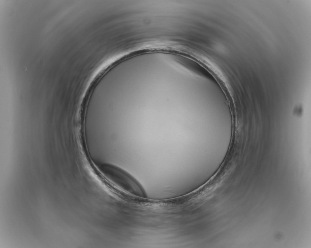 X0000091591045200709101036