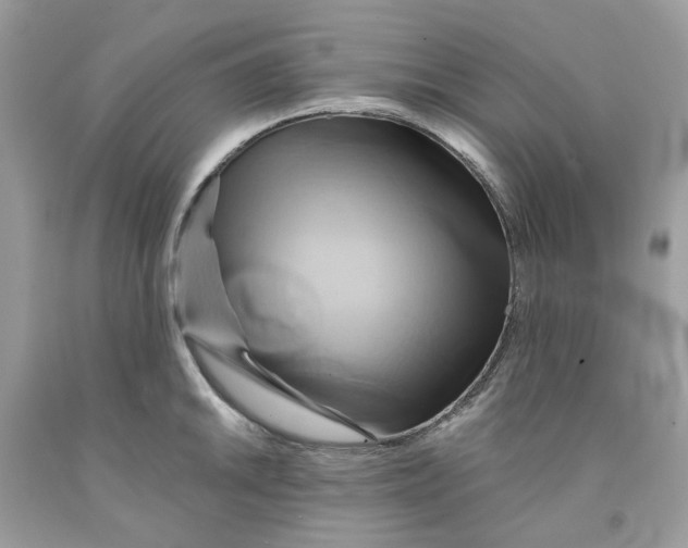 X0000091591046200709101036