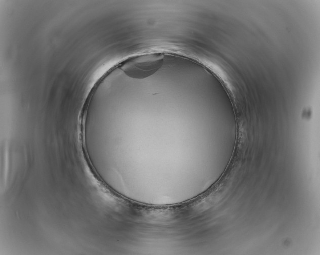 X0000091591047200709101036