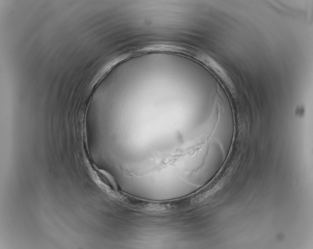 X0000091591049200709101036