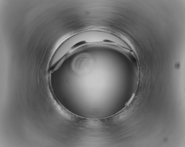 X0000091591050200709101036