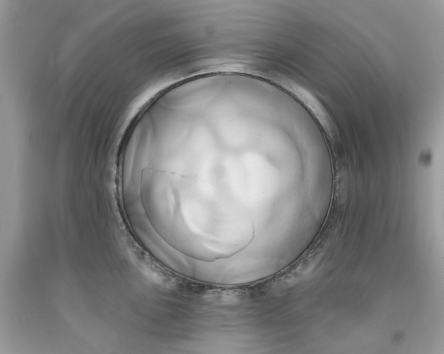 X0000091591051200709101036