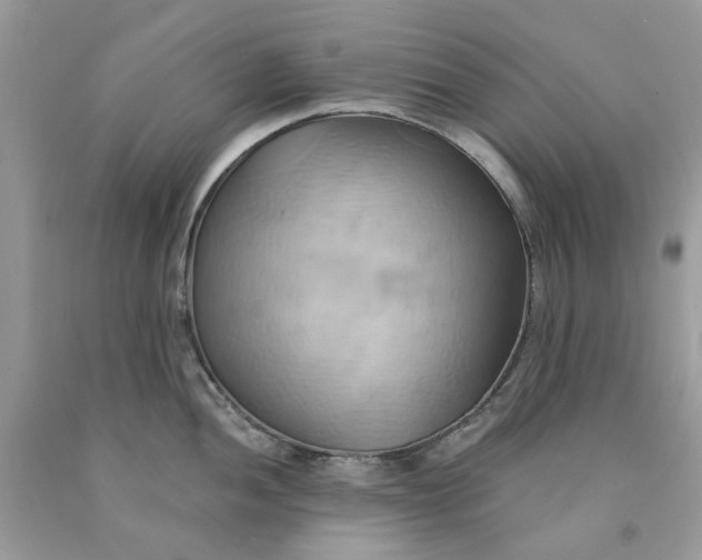 X0000091591052200709101036