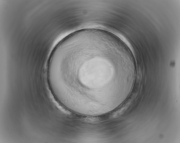 X0000091591053200709101036