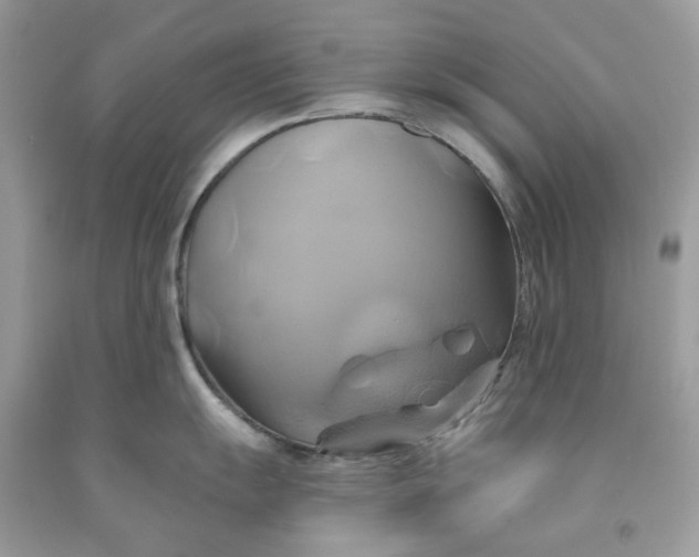 X0000091591055200709101036