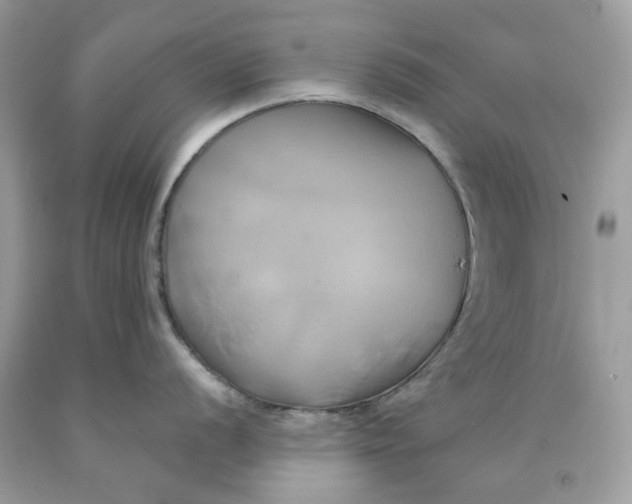 X0000091591056200709101036