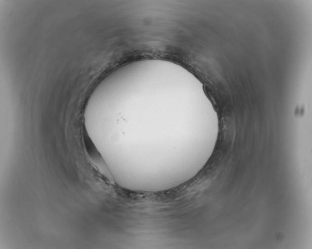 X0000091591057200709101036