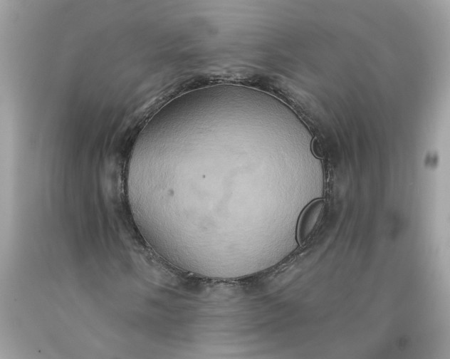 X0000091591058200709101036