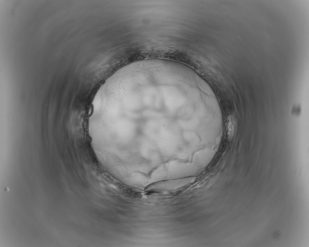 X0000091591059200709101036