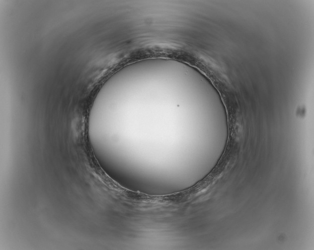 X0000091591061200709101035