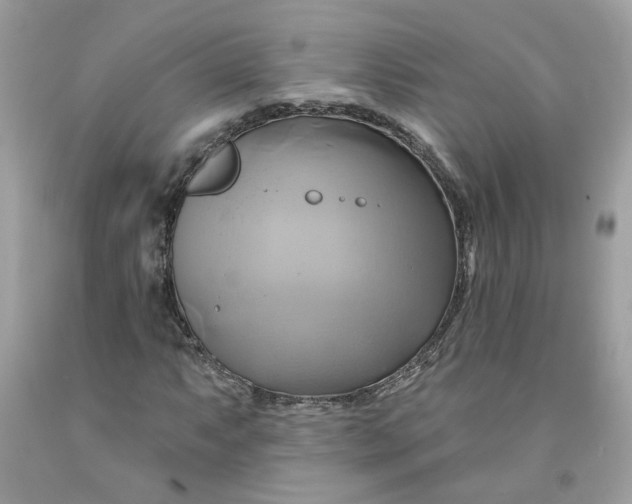 X0000091591063200709101035