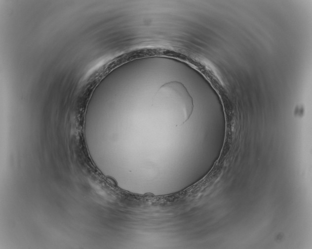 X0000091591064200709101035