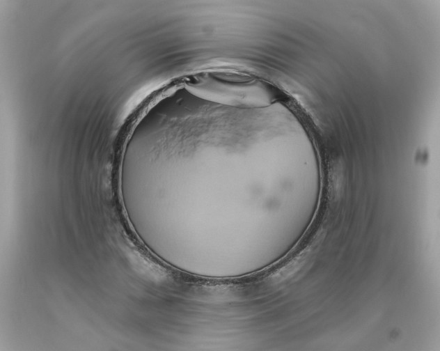 X0000091591066200709101035