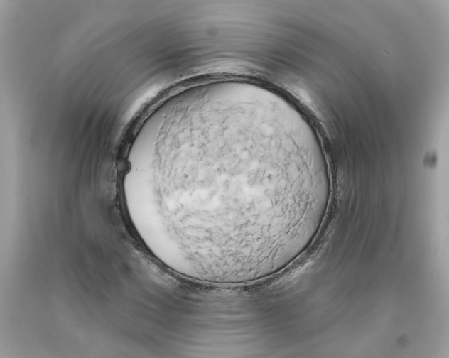 X0000091591067200709101035