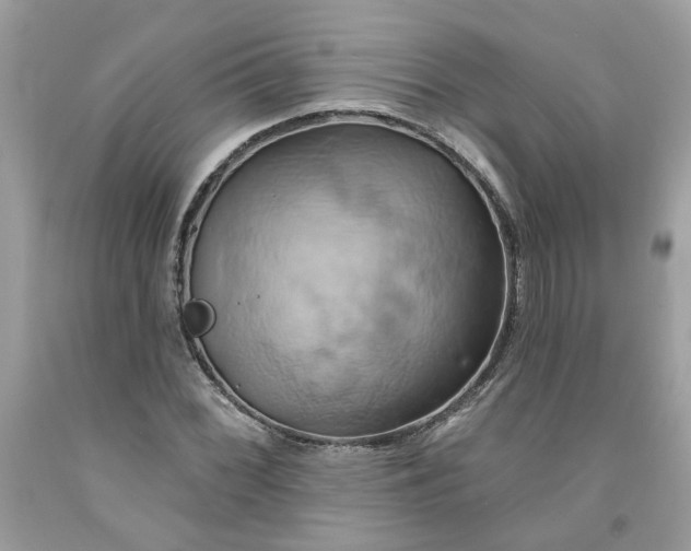 X0000091591068200709101035