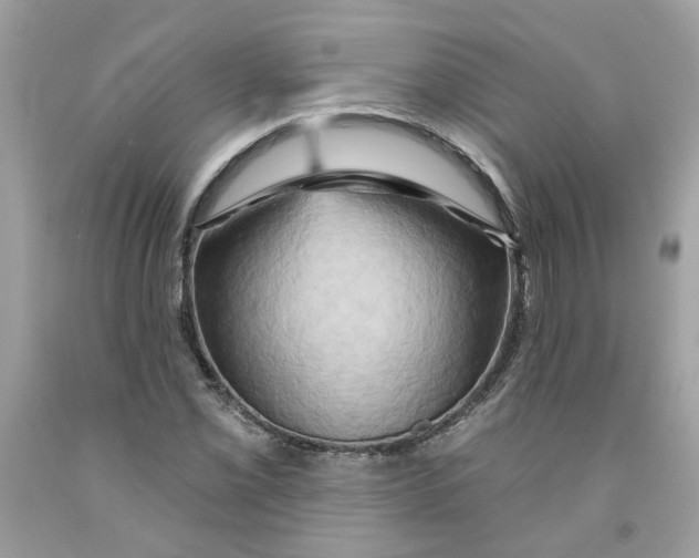 X0000091591069200709101035