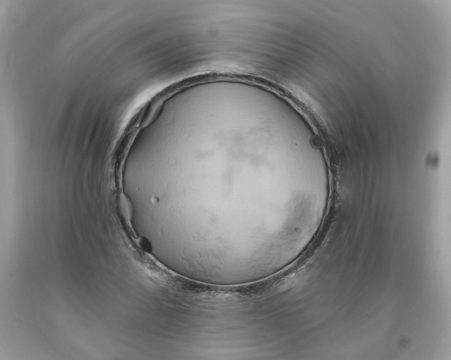 X0000091591070200709101035