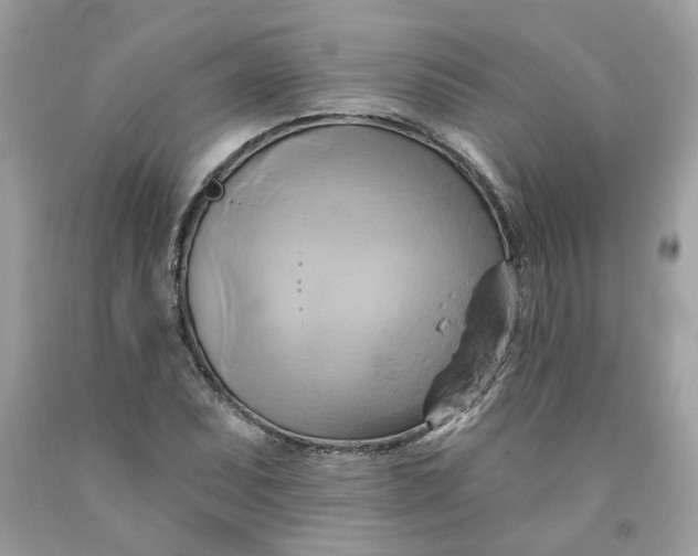 X0000091591071200709101035