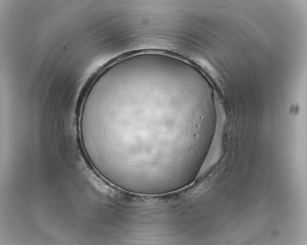 X0000091591072200709101035