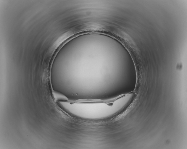 X0000091591073200709101035