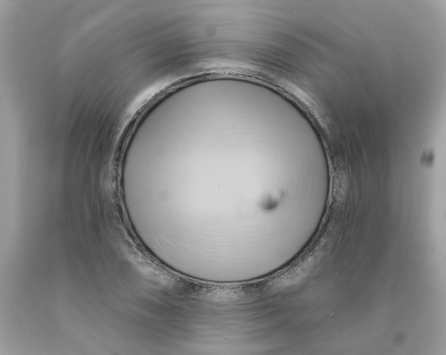 X0000091591074200709101035