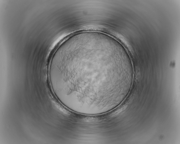 X0000091591075200709101035