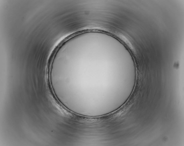 X0000091591076200709101035