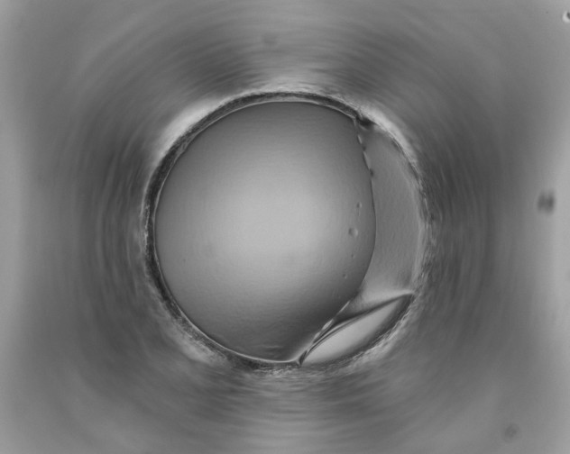 X0000091591077200709101035