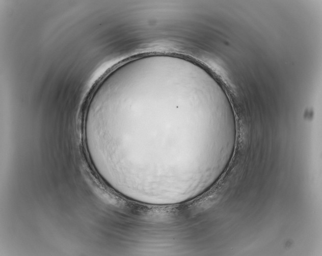 X0000091591078200709101035