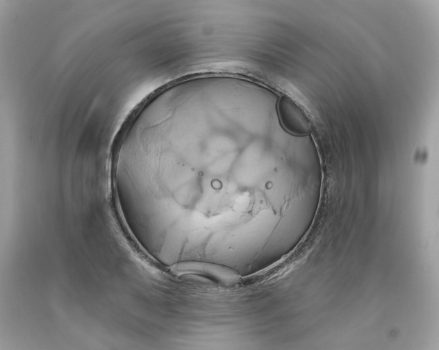 X0000091591079200709101035