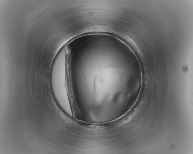 X0000091591081200709101035