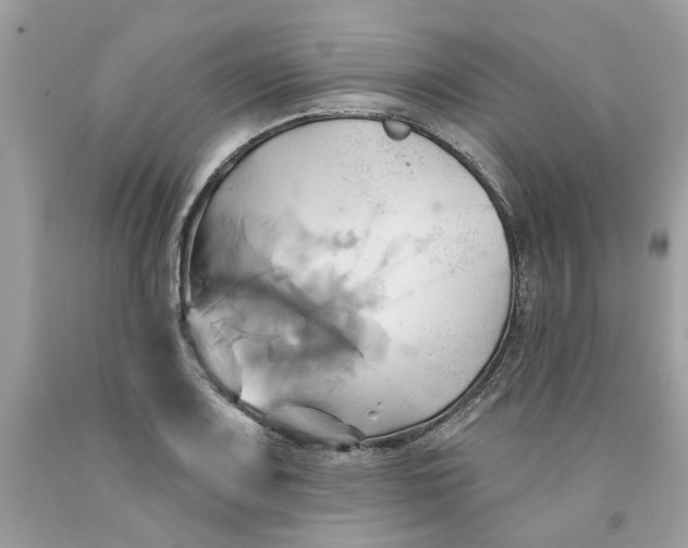 X0000091591083200709101035