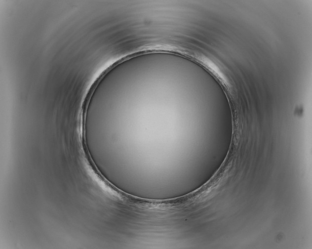 X0000091591084200709101035