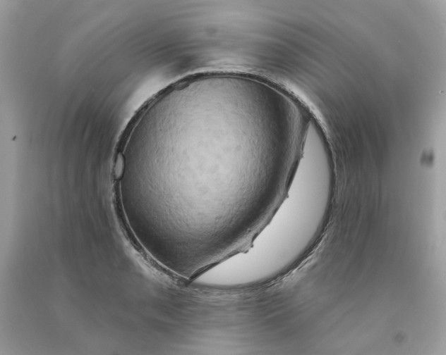 X0000091591085200709101035