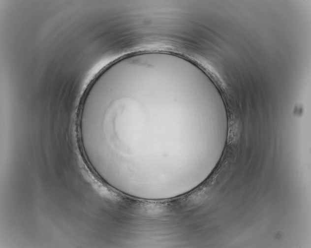 X0000091591086200709101035