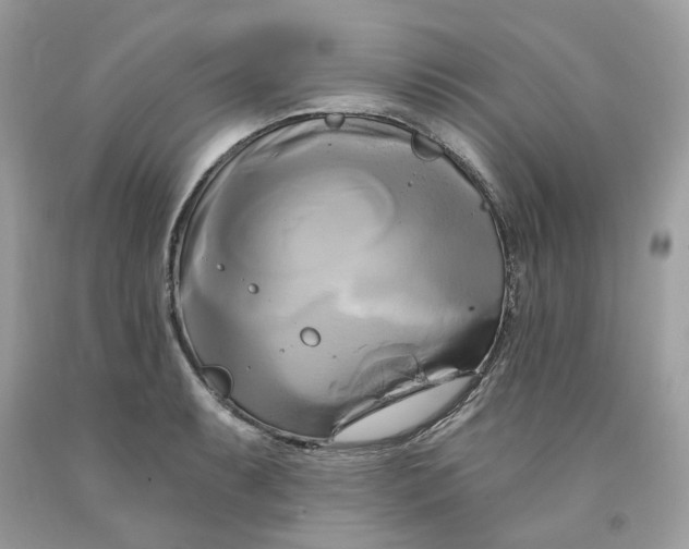 X0000091591087200709101035