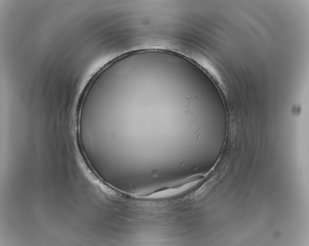 X0000091591088200709101035