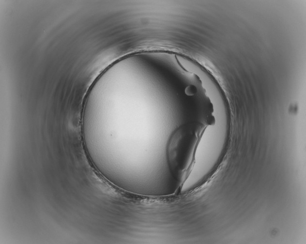 X0000091591089200709101035