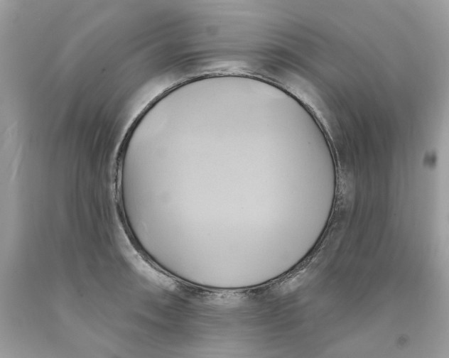 X0000091591090200709101035