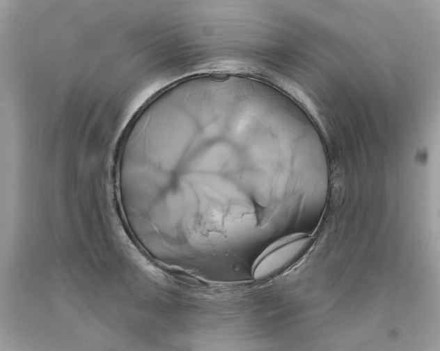 X0000091591091200709101035