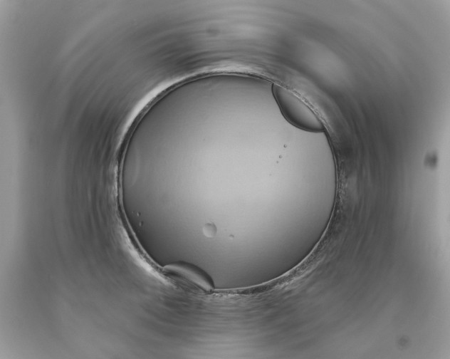 X0000091591092200709101035