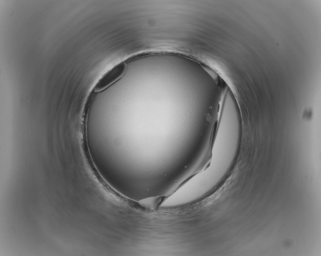 X0000091591093200709101035