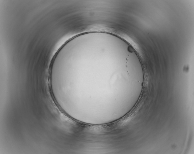 X0000091591094200709101035